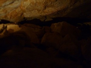 k-P1000313