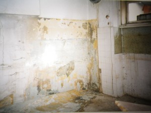 IMGP0949