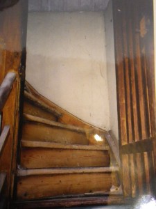 IMGP0951