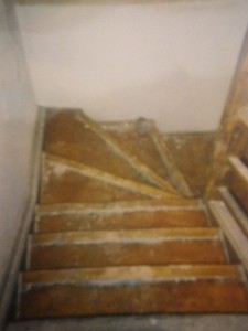 IMGP0958